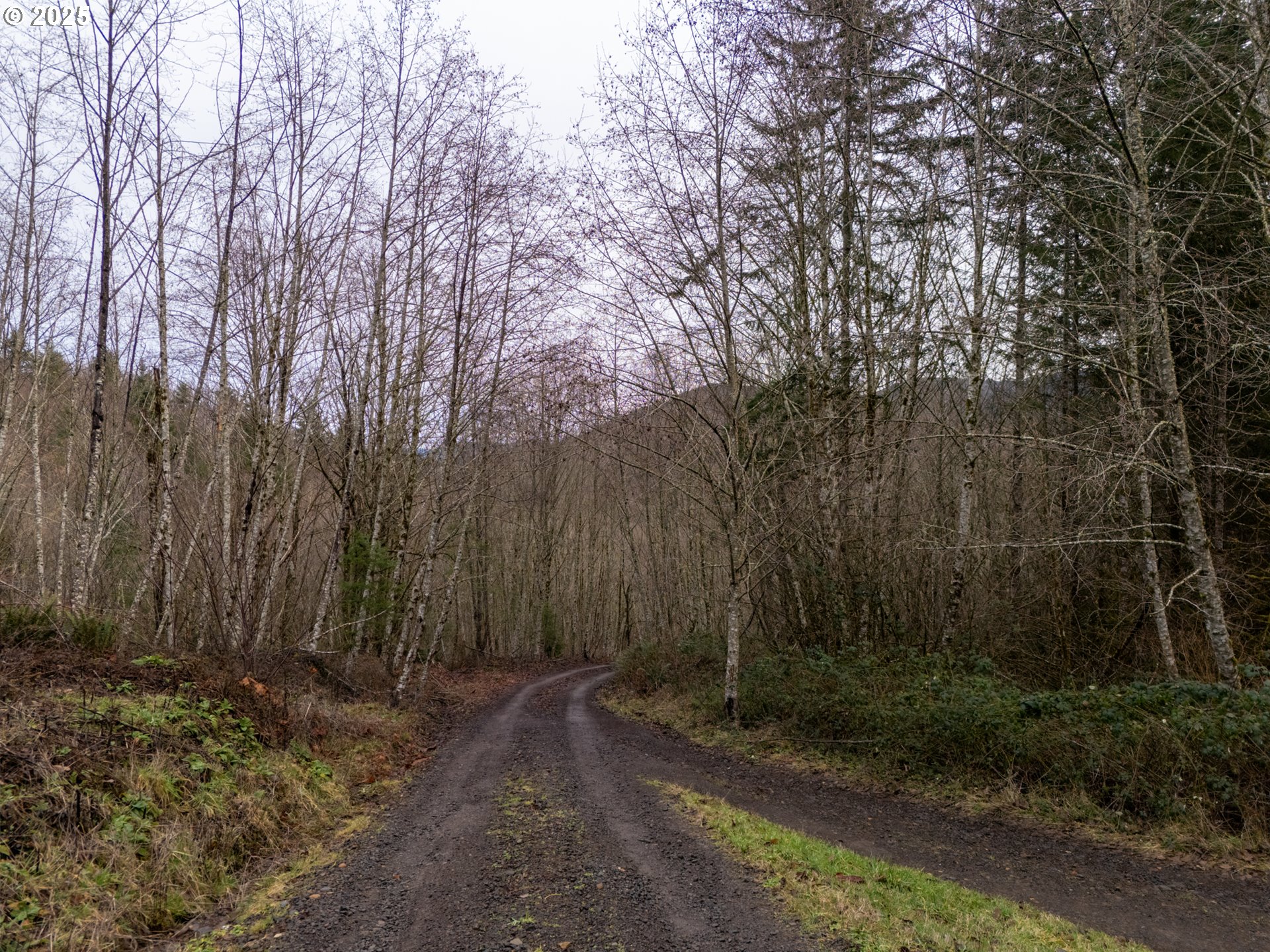 317 Inverness Road Woodland, WA 98674 - Photo 46 of 46 Gallery Image 46