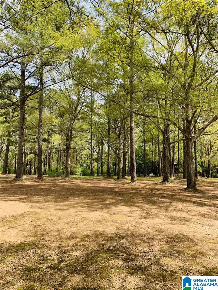 0 Carleton Point, Unit 10 Wilsonville, AL 35186 - Photo 6 of 14