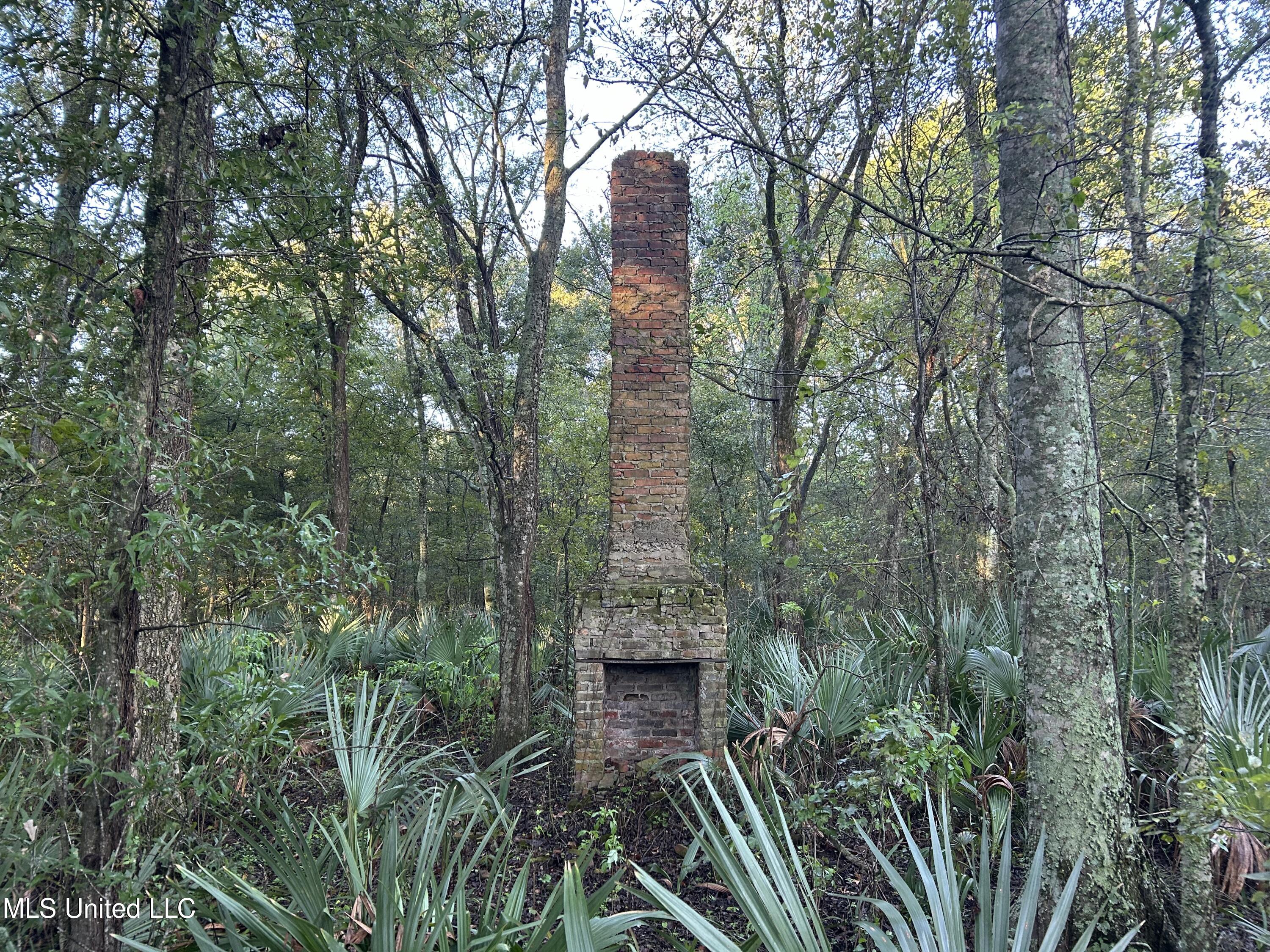 Off Of Trotter Road Yazoo City, MS 39194 - Photo 5 of 43 1