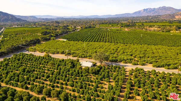 a kitchen with white cabinets stainless steel appliances and a window