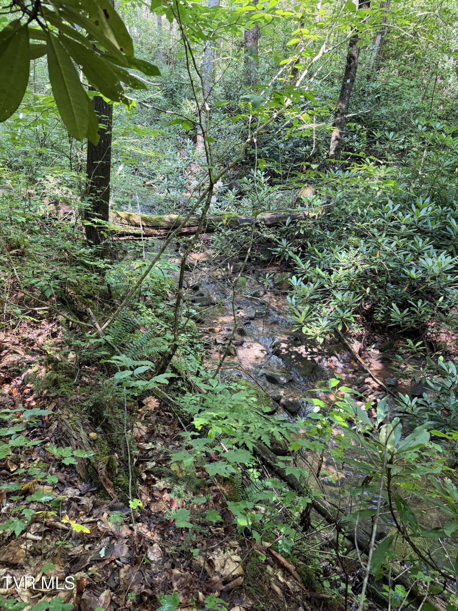0 East Highway 25 70, Unit 9 Del Rio, TN 37727 - Photo 12 of 19 IMG_6577