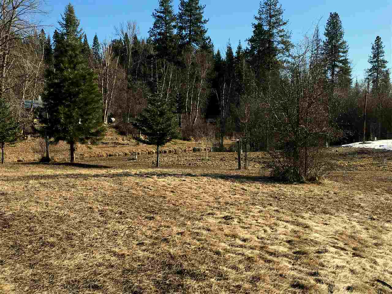 Xxx Box Canyon Road Ione, WA 99139 - Photo 17 of 20 Gallery Image 17