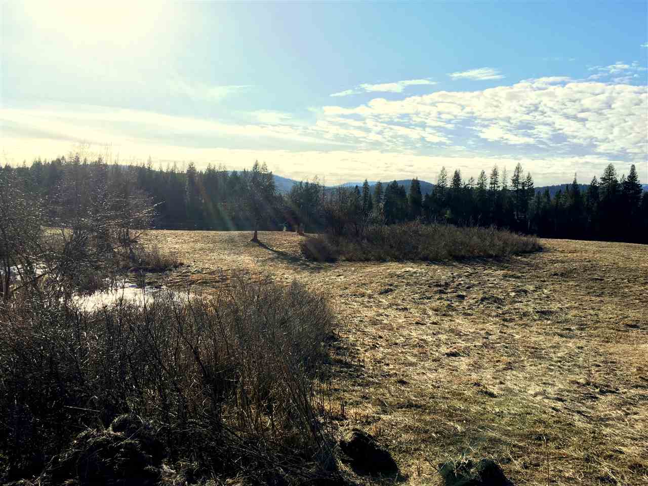 Xxx Box Canyon Road Ione, WA 99139 - Photo 8 of 20 Gallery Image 8
