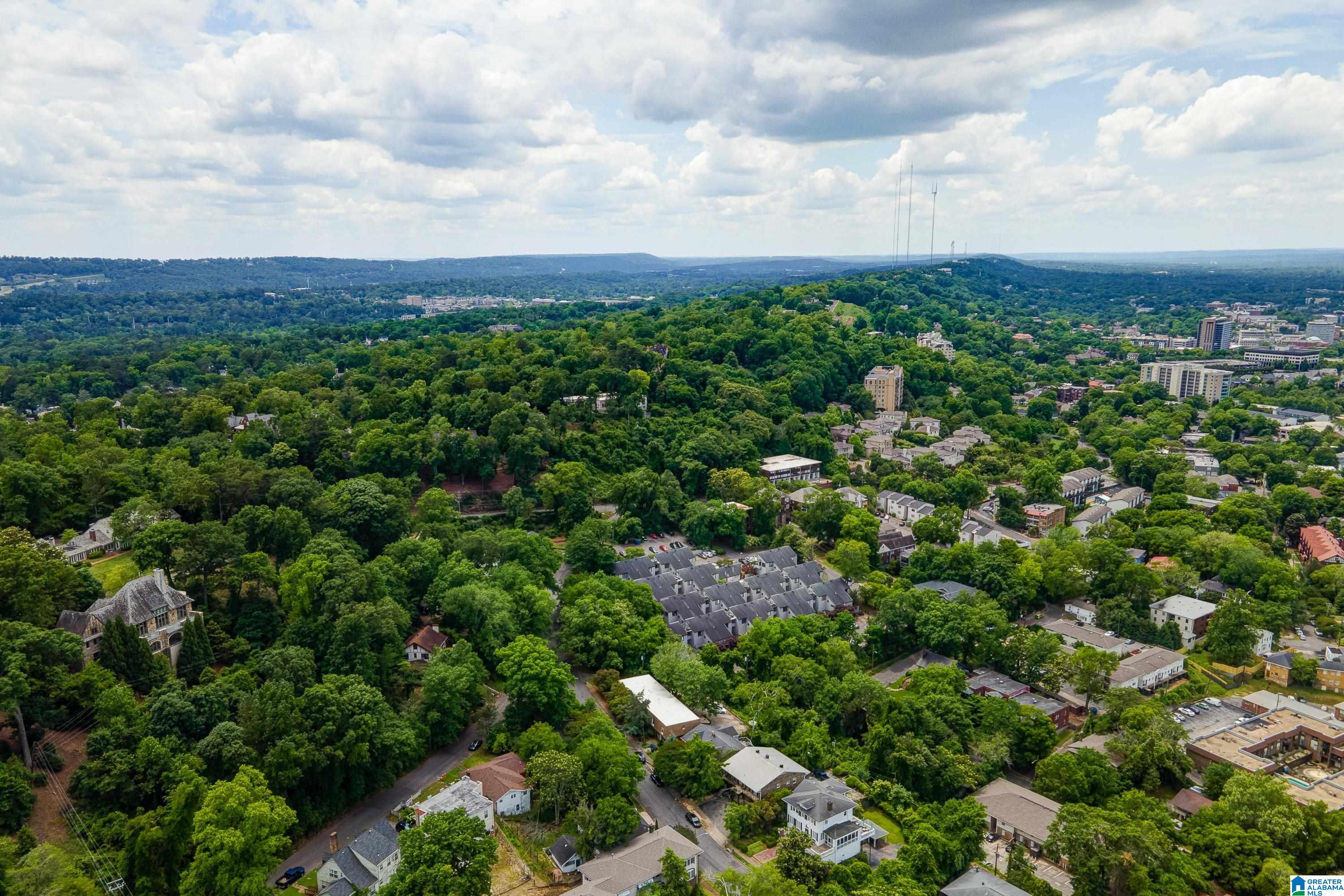 3350 Altamont Road South, Unit D 18 Birmingham, AL 35205 - Photo 7 of 22