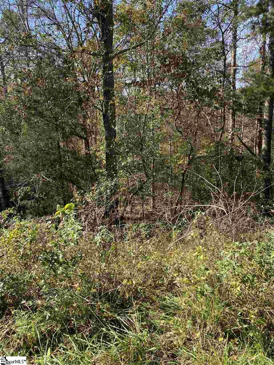 Riverside Drive Duncan, SC 29334 - Photo 15 of 16 Gallery Image 15