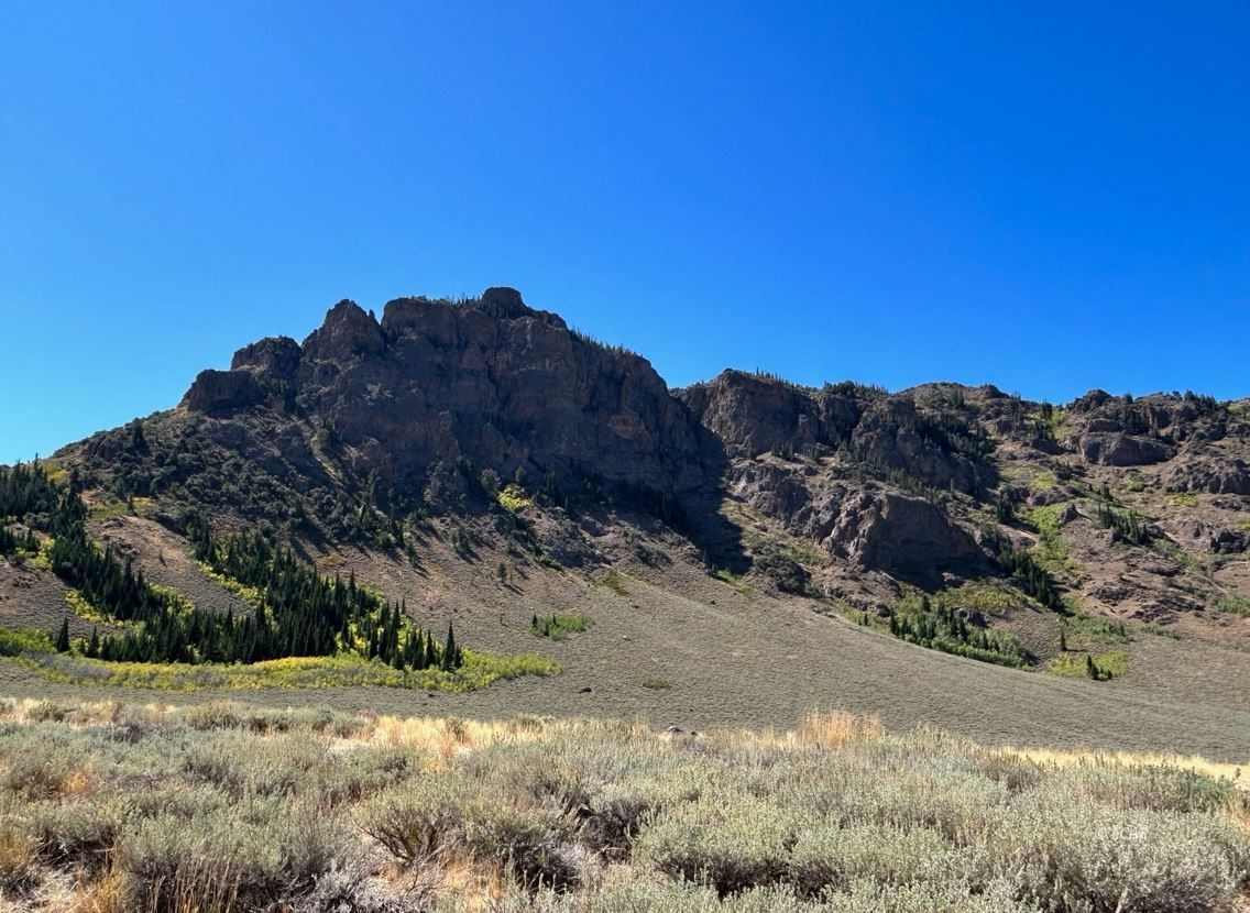 Wild Cat Road Road Jarbidge, NV 89826 - Photo 9 of 10