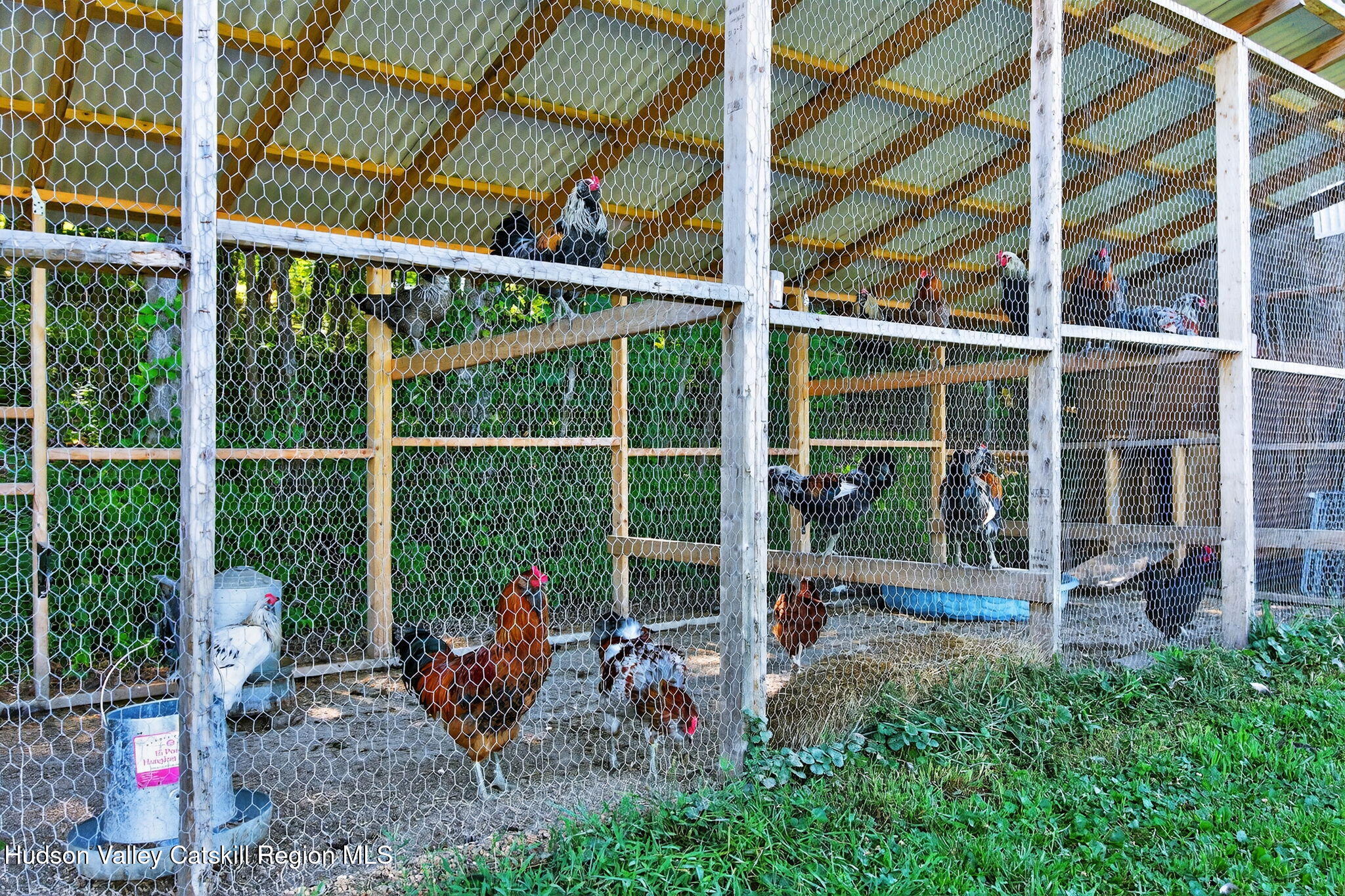 109 Paul Horn Road Catskill, NY 12414 - Photo 27 of 33 41-web-or-mls-109-paul-horn-rd