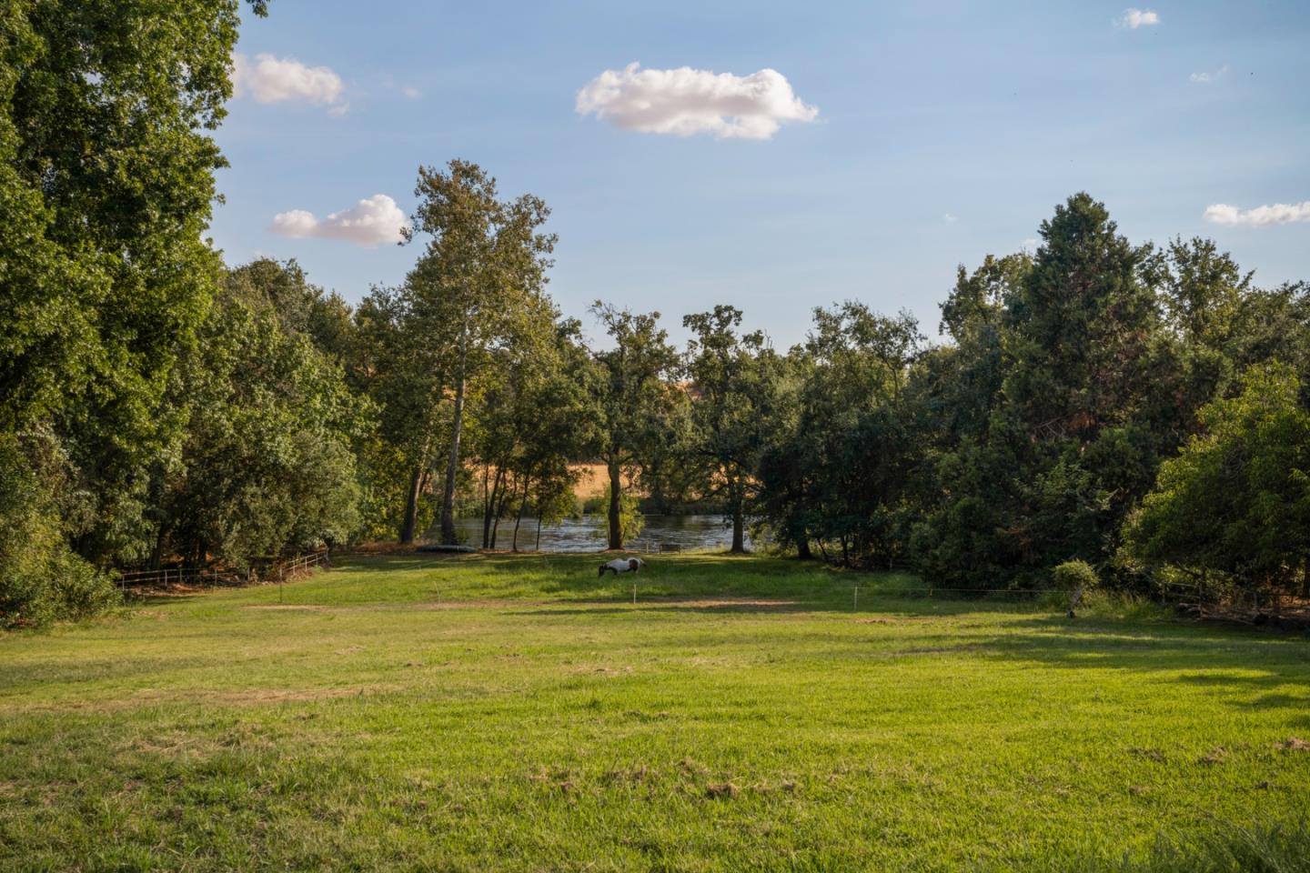 7555 Merced Falls Road Snelling, CA 95369 - Photo 19 of 77 a view of outdoor space with swimming pool