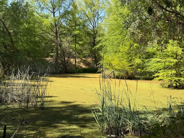 $5,800,000 | 7555 Merced Falls Road, Snelling, CA 95369