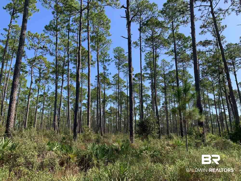 0 Three 3 Rivers Road Seminole, AL 36574 - Photo 26 of 27