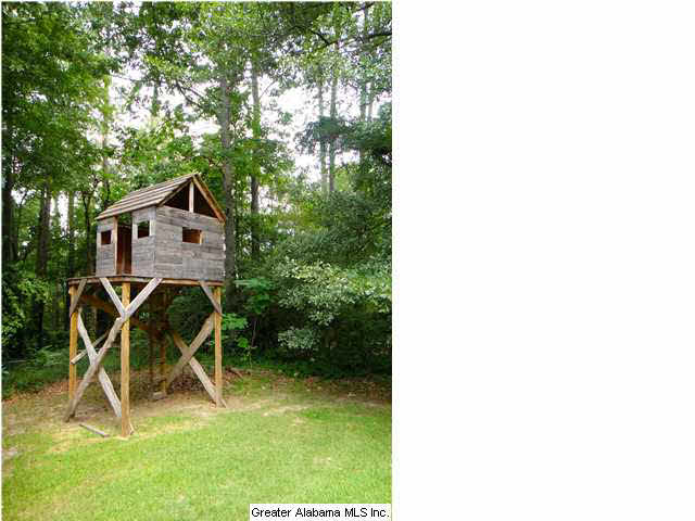 2409 Dolly Ridge Trail Birmingham, AL 35243 - Photo 27 of 27