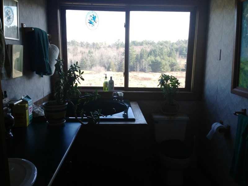 959 Garland Road Winslow, ME 04901 - Photo 21 of 35 Master Bath/Spa.