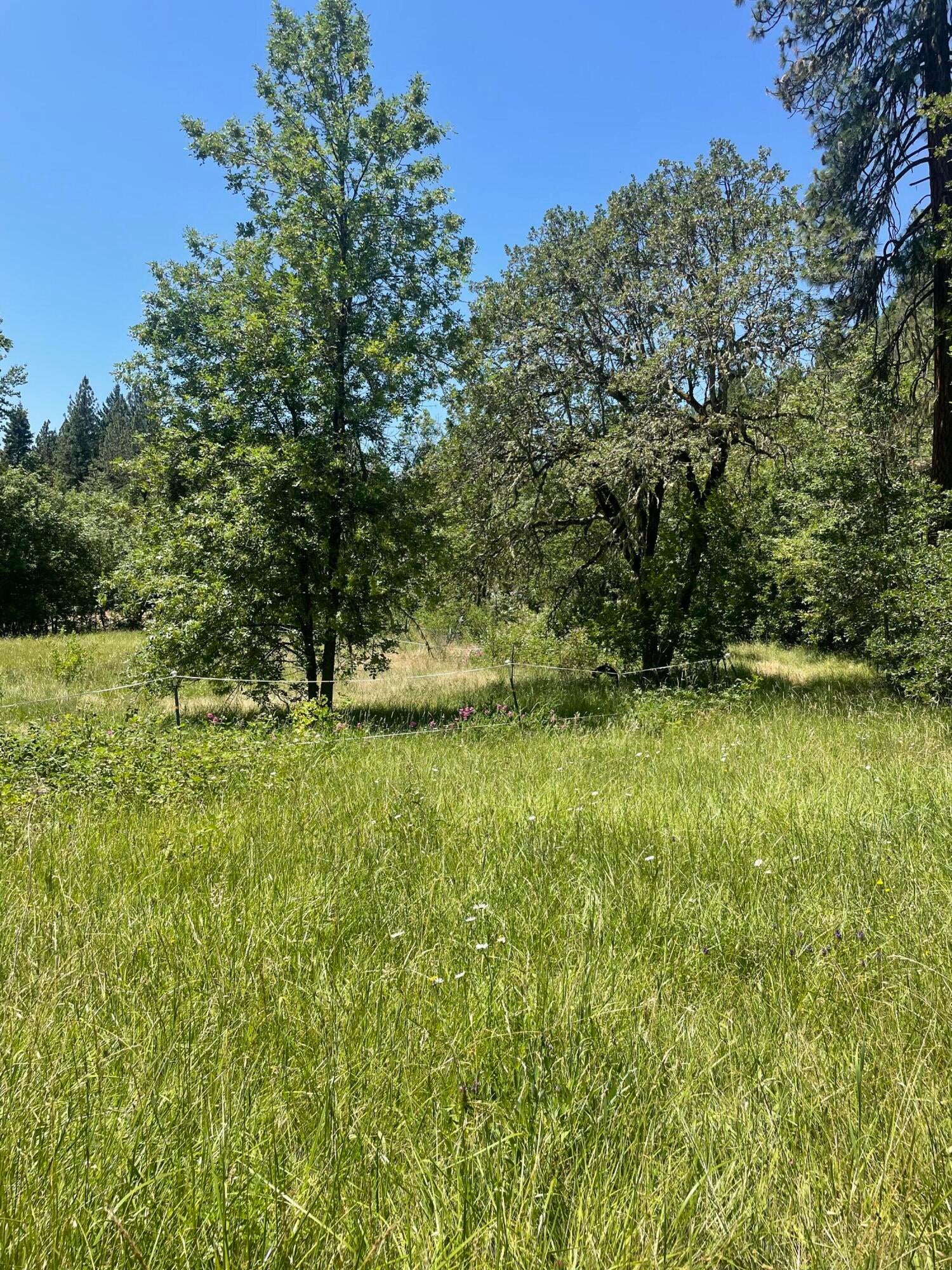 826 Ulrich Road Prospect, OR 97536 - Photo 5 of 13 IMG_3636