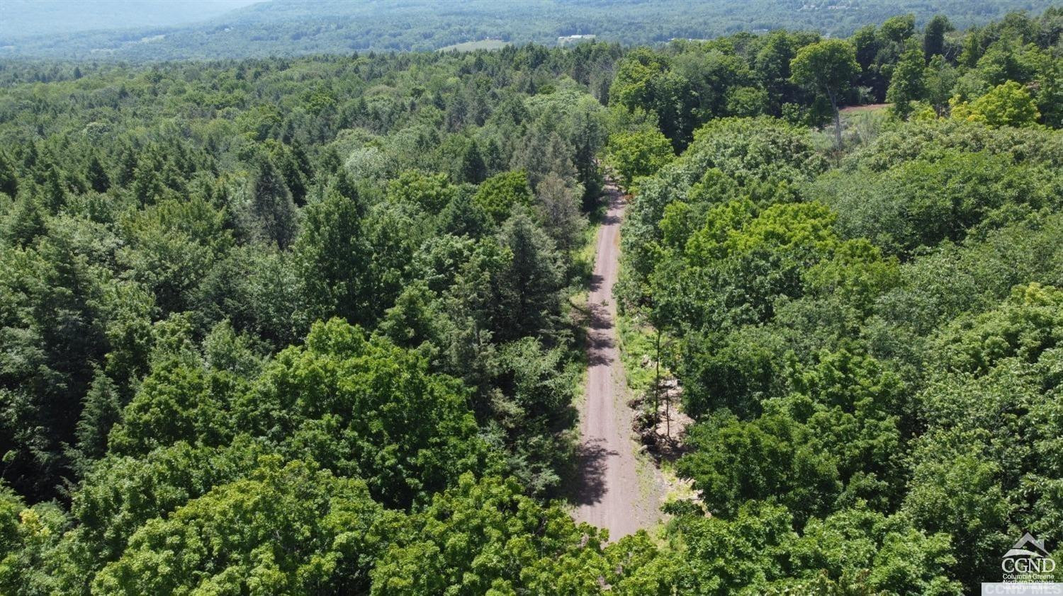 80 Begley Road Windham, NY 12496 - Photo 5 of 6 Photo 5