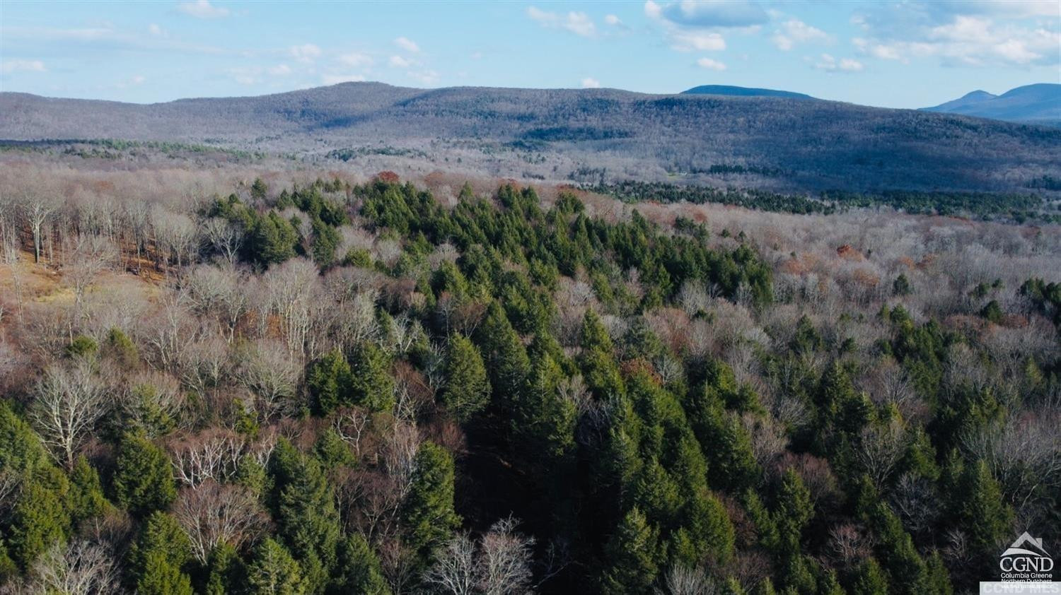 80 Begley Road Windham, NY 12496 - Photo 6 of 6 Mountain Views