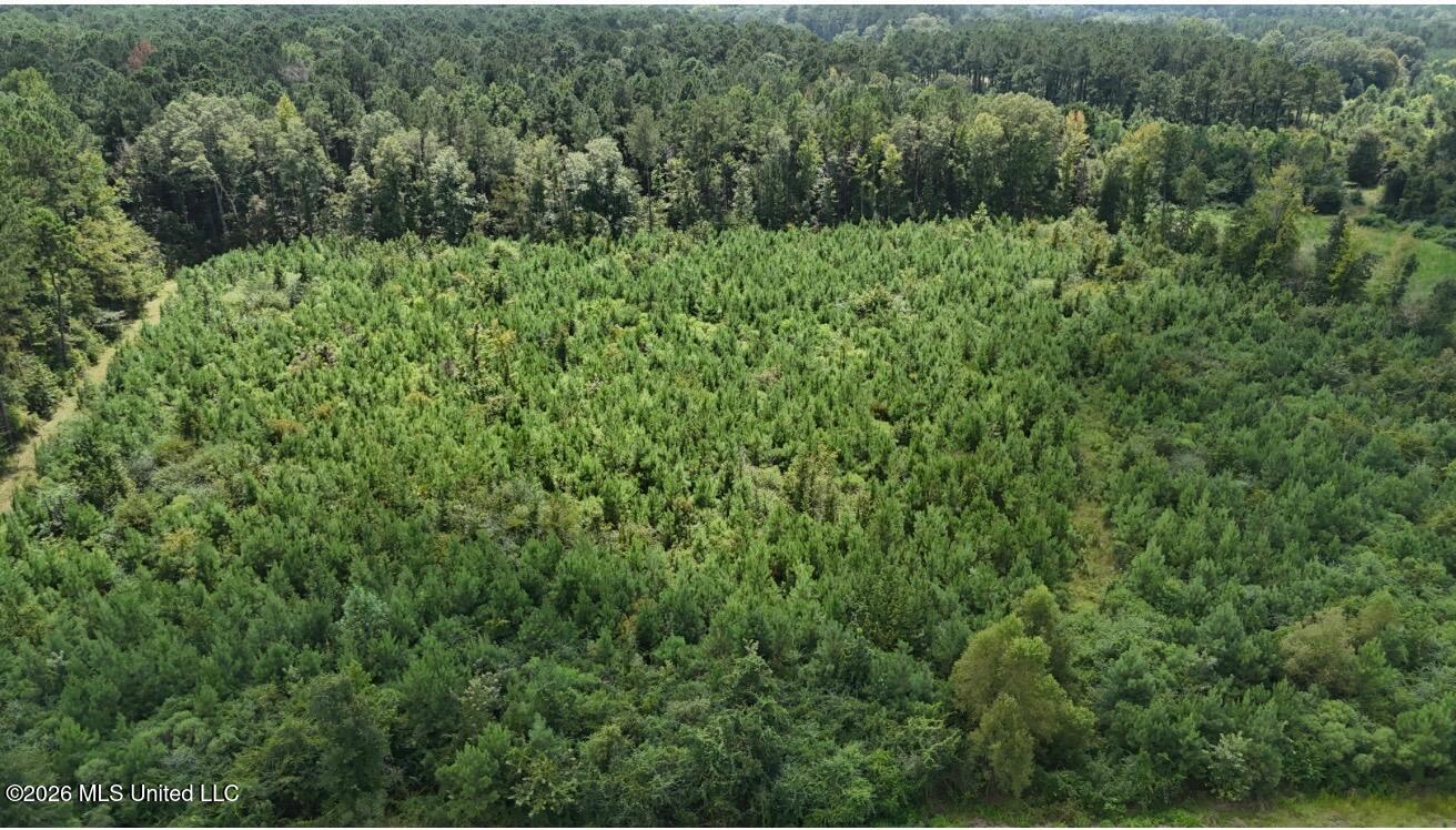 Southwest Imperial Lane Southwest Bogue Chitto, MS 39629 - Photo 4 of 7 From above