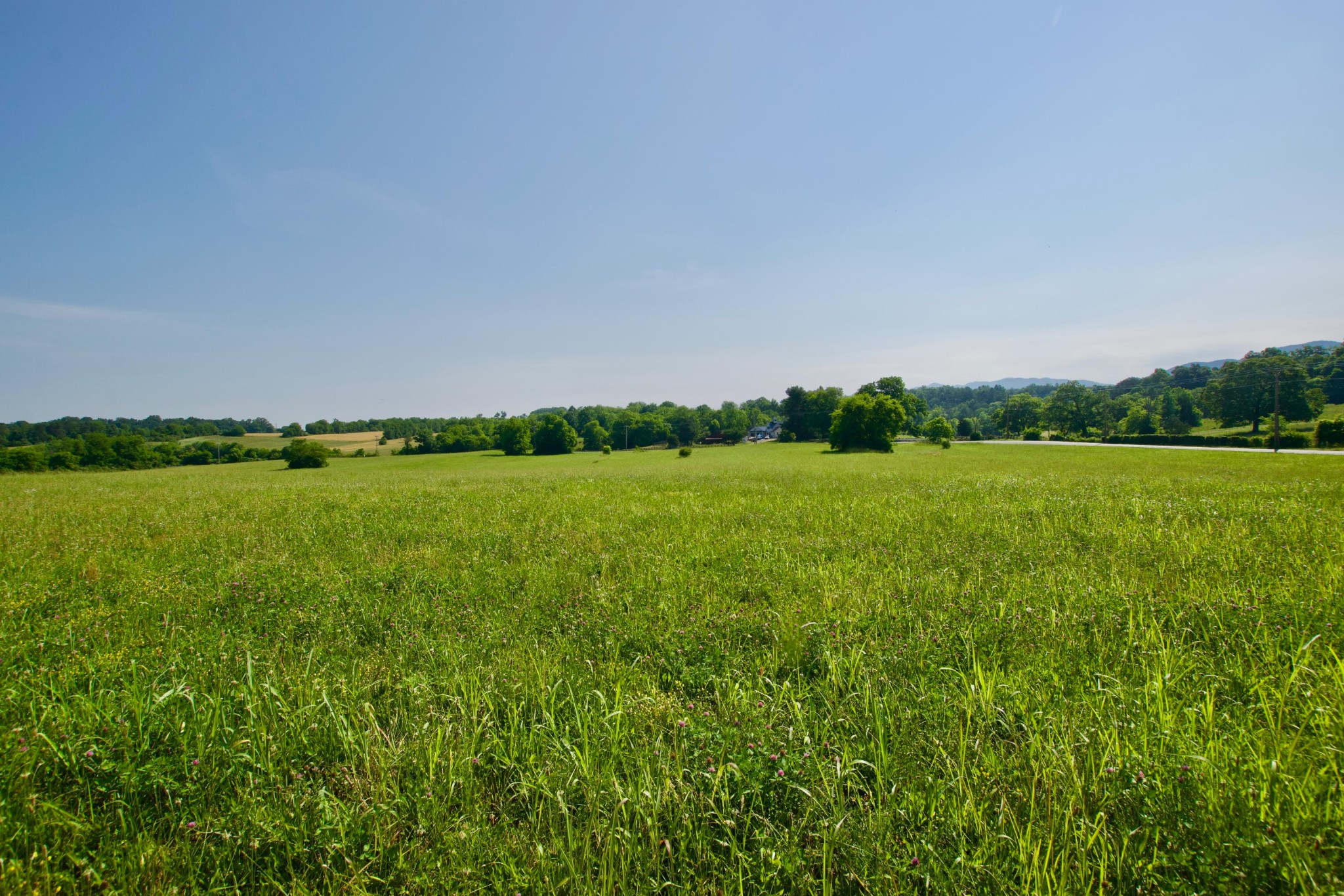 6 Chilhowee View Road Maryville, TN 37803 - Photo 4 of 5 Gallery Image 4