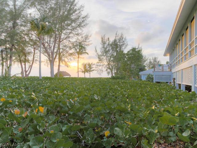 4627 Rue Belle Mer Sanibel, FL 33957 - Photo 20 of 25 a view of yard with large trees
