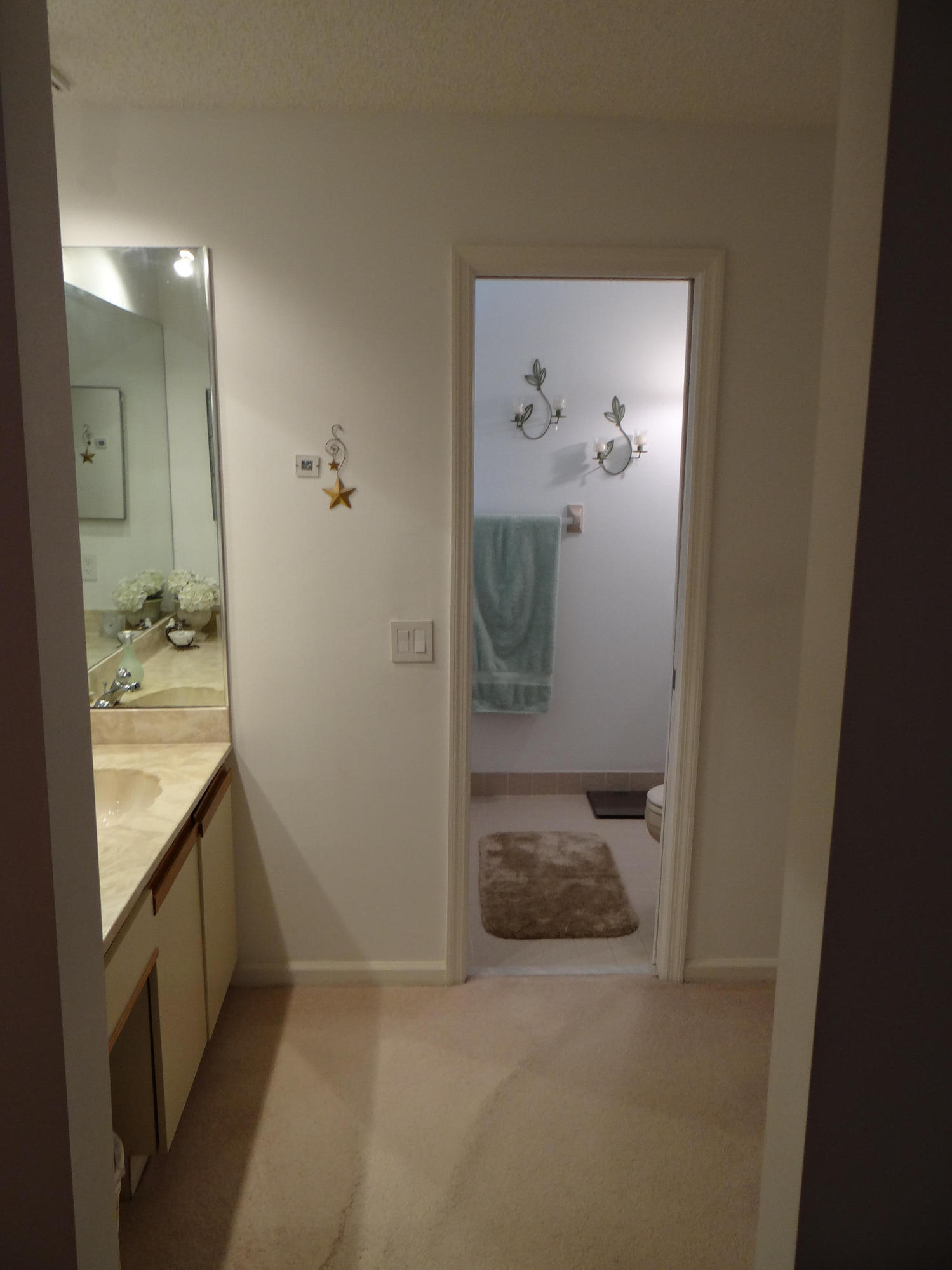 9352 Sable Ridge Circle, Unit D Boca Raton, FL 33428 - Photo 26 of 46 DSC01449