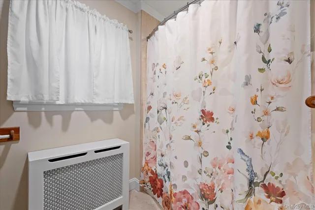 a view of bathroom with shower and a bathtub