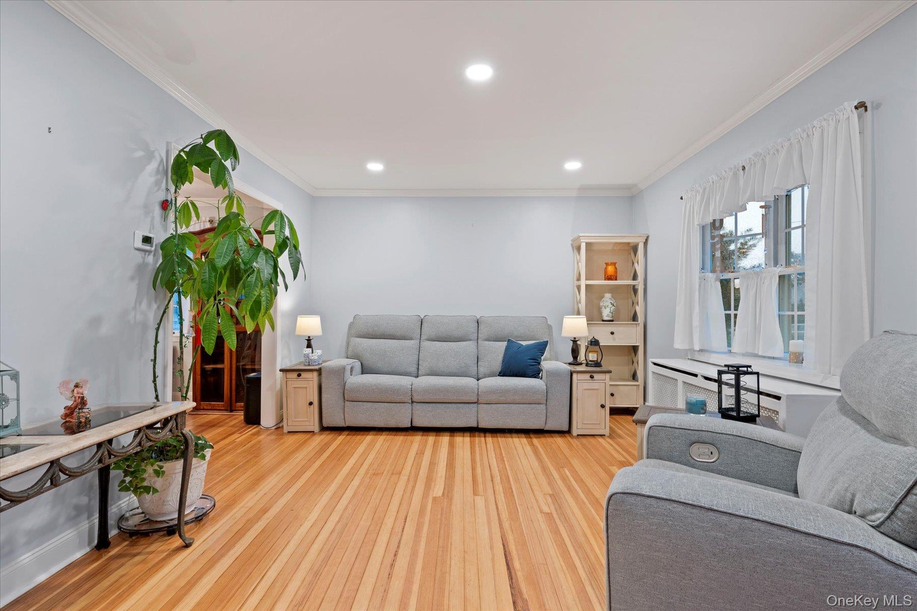 51 Marvin Street Patchogue, NY 11772 - Photo 10 of 25 a living room with furniture and a potted plant