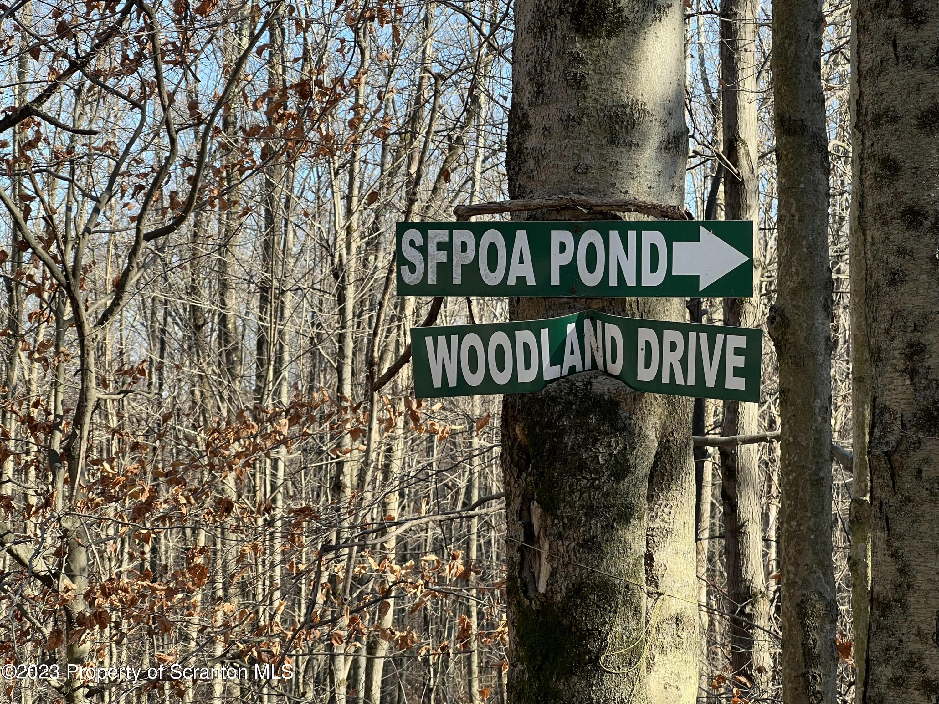 Elm Terrace Moscow, PA 18444 - Photo 4 of 6 a view of a wooden door
