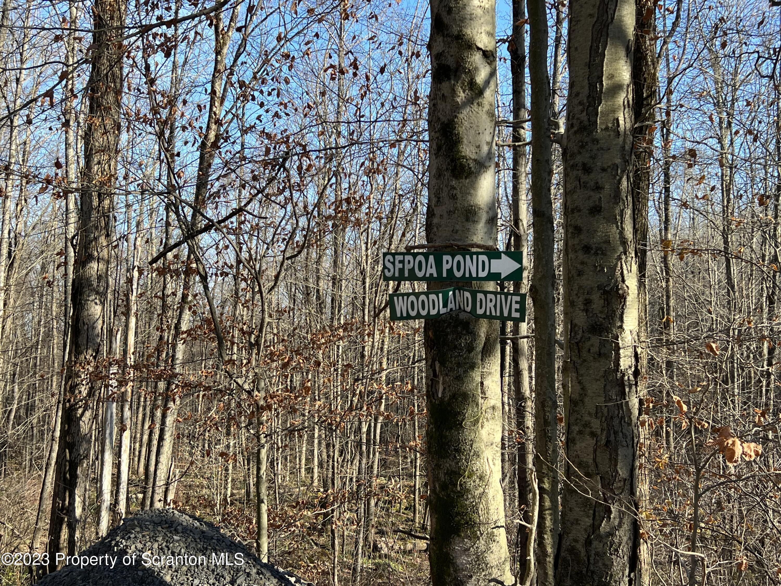 Elm Terrace Moscow, PA 18444 - Photo 5 of 6