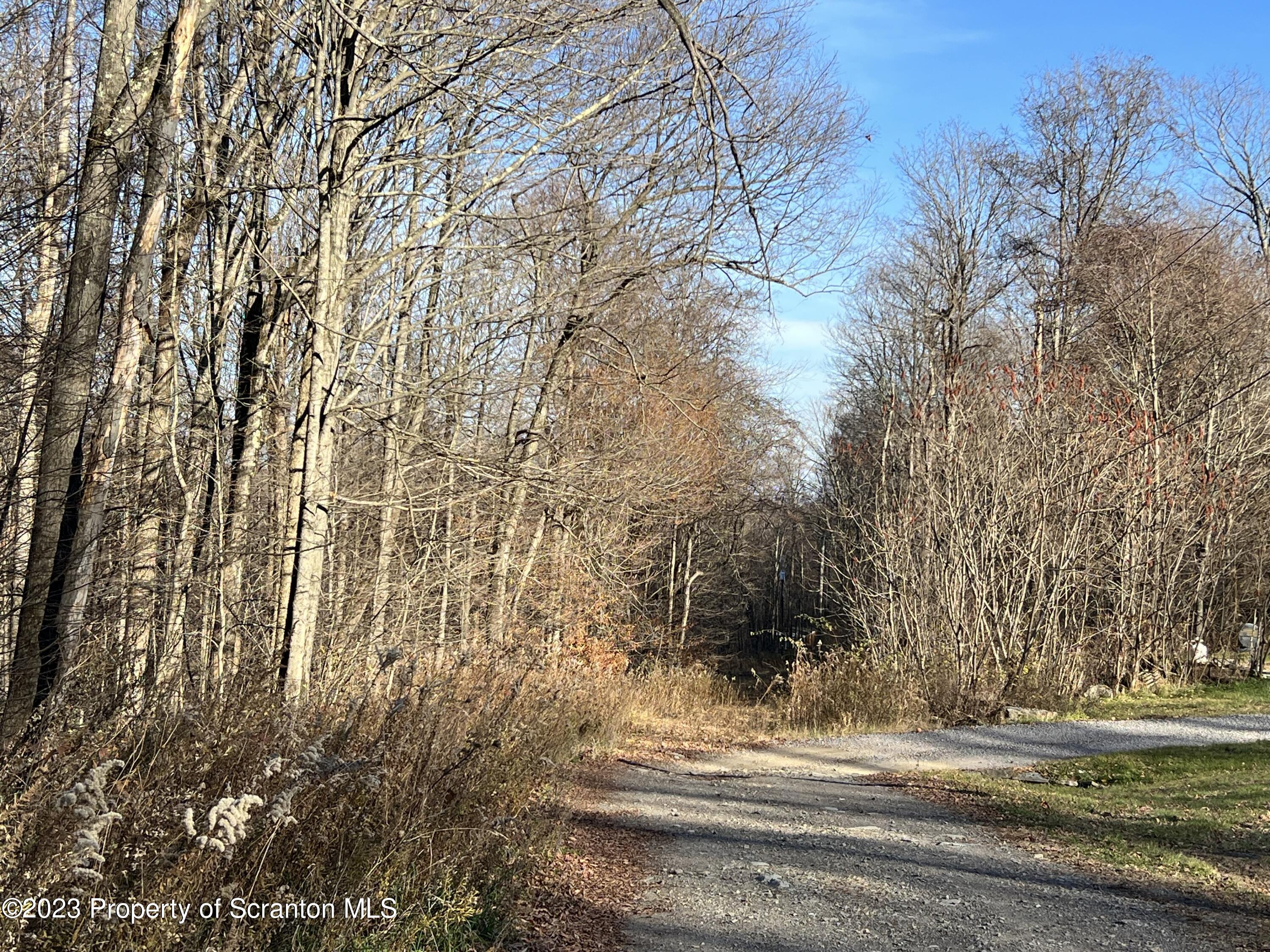 Elm Terrace Moscow, PA 18444 - Photo 6 of 6 a view of street along with trees