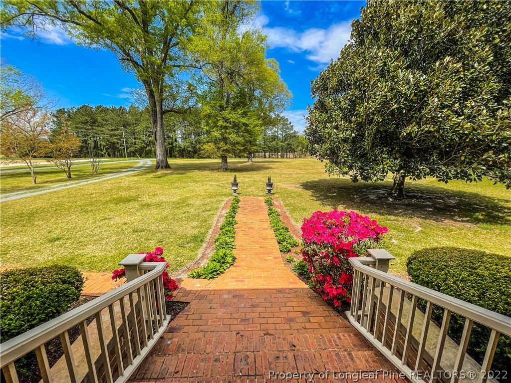 1259 Mckinnon-Pate Road Rowland, NC 28383 - Photo 25 of 49 Gallery Image 25