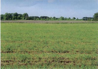 Ensley Road Coopersville, MI 49404 - Photo 1 of 2 Primary Photo
