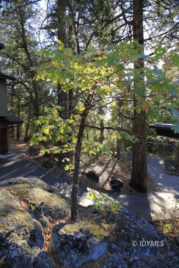 25270 Cougar Road Idyllwild, CA 92549 - Photo 35 of 35 Yard