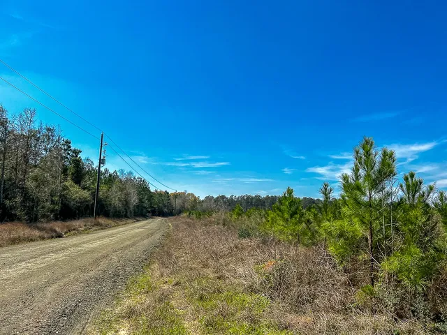 a view of a field with an ocean