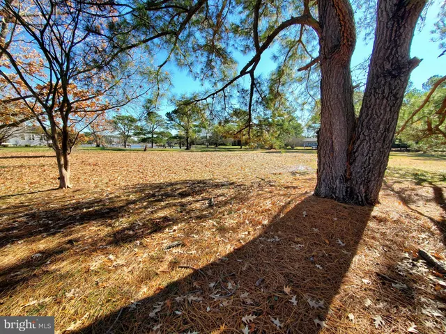 a view of lake view with large trees