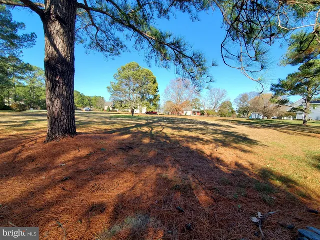 a view of a yard with large trees