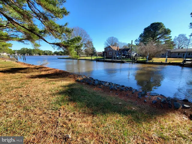 a view of a lake with boats and trees