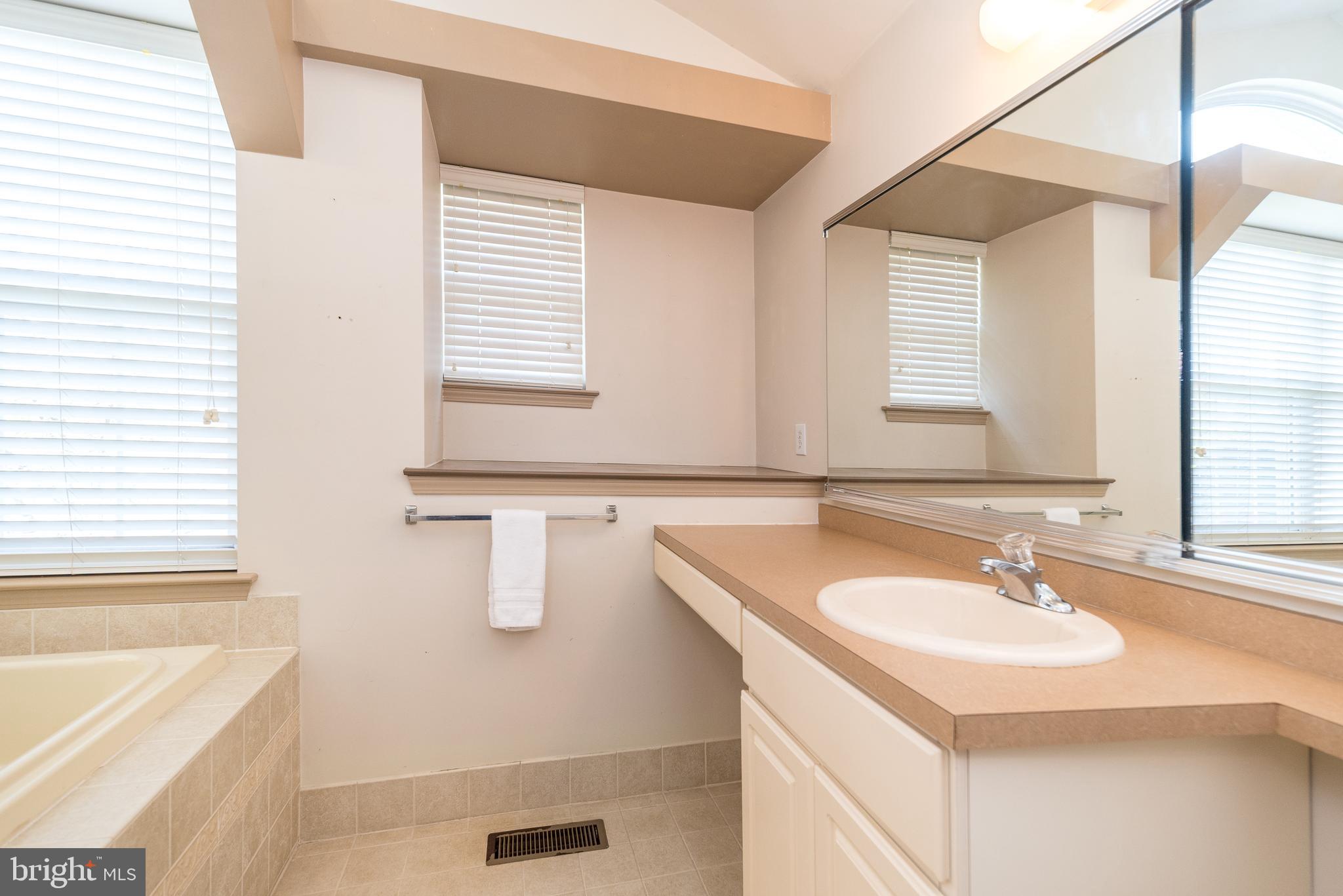201 Summer Ridge Circle Chalfont, PA 18914 - Photo 59 of 94 Vanity on one side of the bathroom