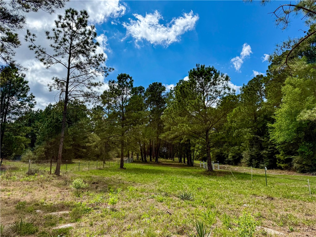 12082 State Highway 30 Anderson, TX 77830 - Photo 13 of 18