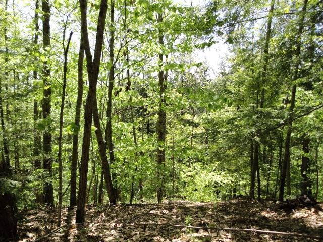 133 Harding Bridge Road Gorham, ME 04038 - Photo 7 of 14 Photo