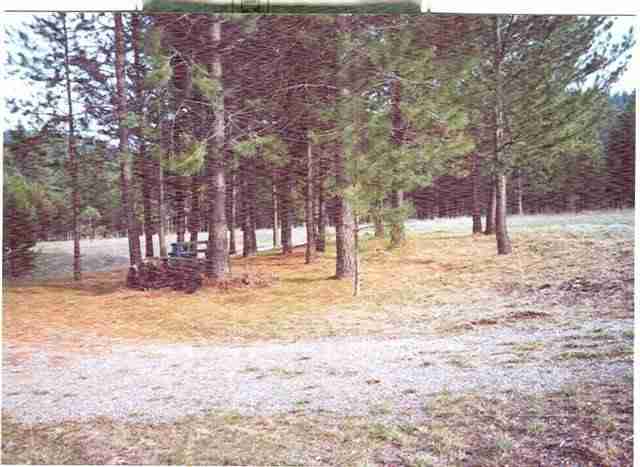 1656 B Bohanan Road Colville, WA 99114 - Photo 1 of 1