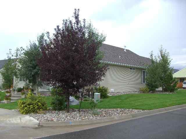 394 Evergreen Drive Rifle, CO 81650 - Photo 3 of 9 a front view of a house with a yard and garage