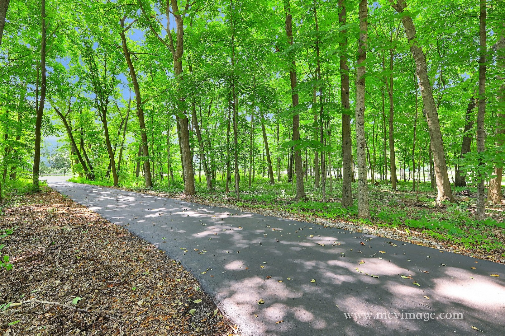 34-w038 Country Club Road St. Charles, IL 60174 - Photo 4 of 47