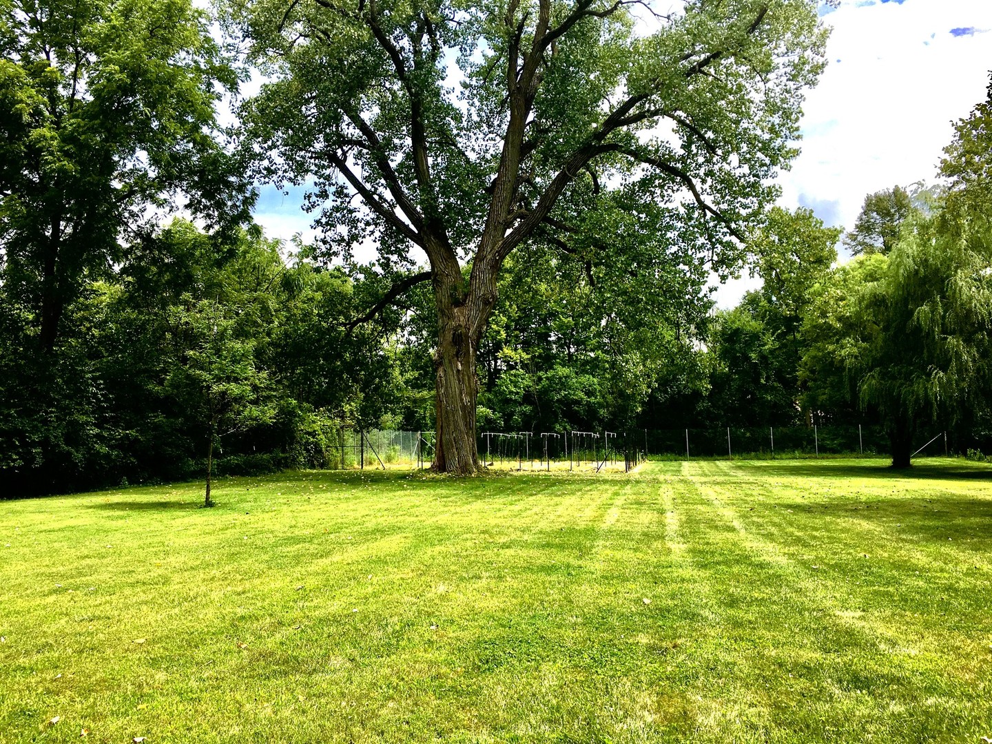 34-w038 Country Club Road St. Charles, IL 60174 - Photo 40 of 47