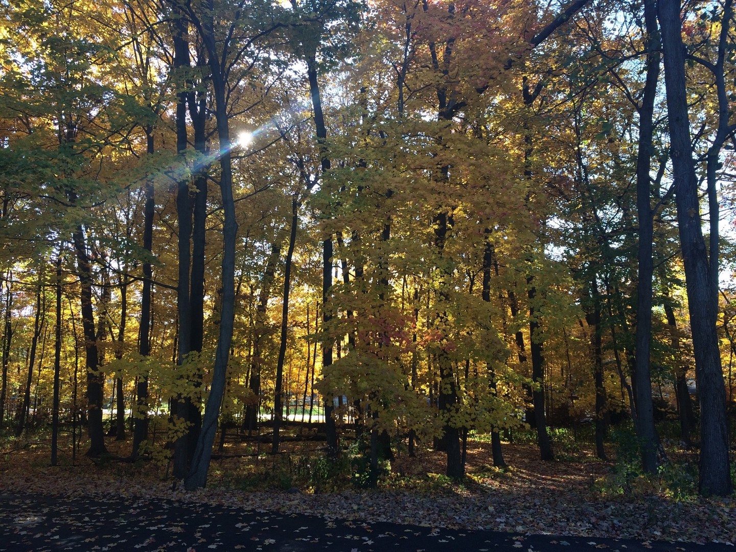 34-w038 Country Club Road St. Charles, IL 60174 - Photo 42 of 47