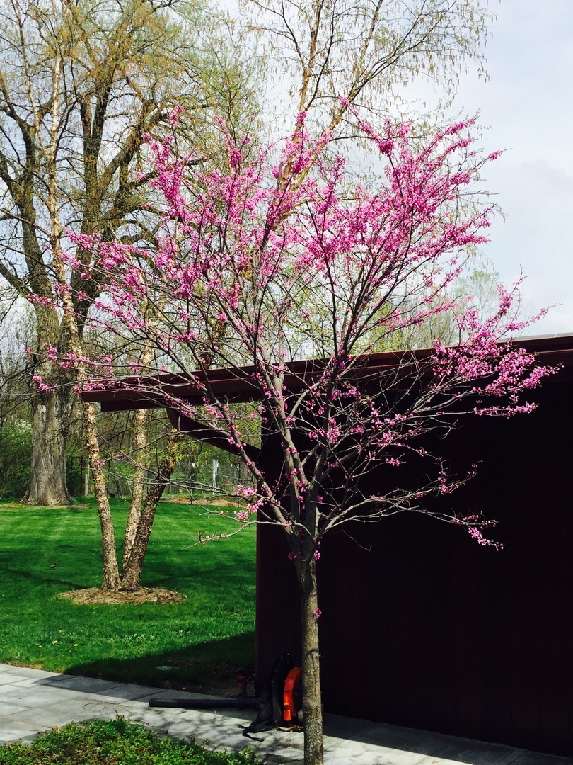 34-w038 Country Club Road St. Charles, IL 60174 - Photo 43 of 47