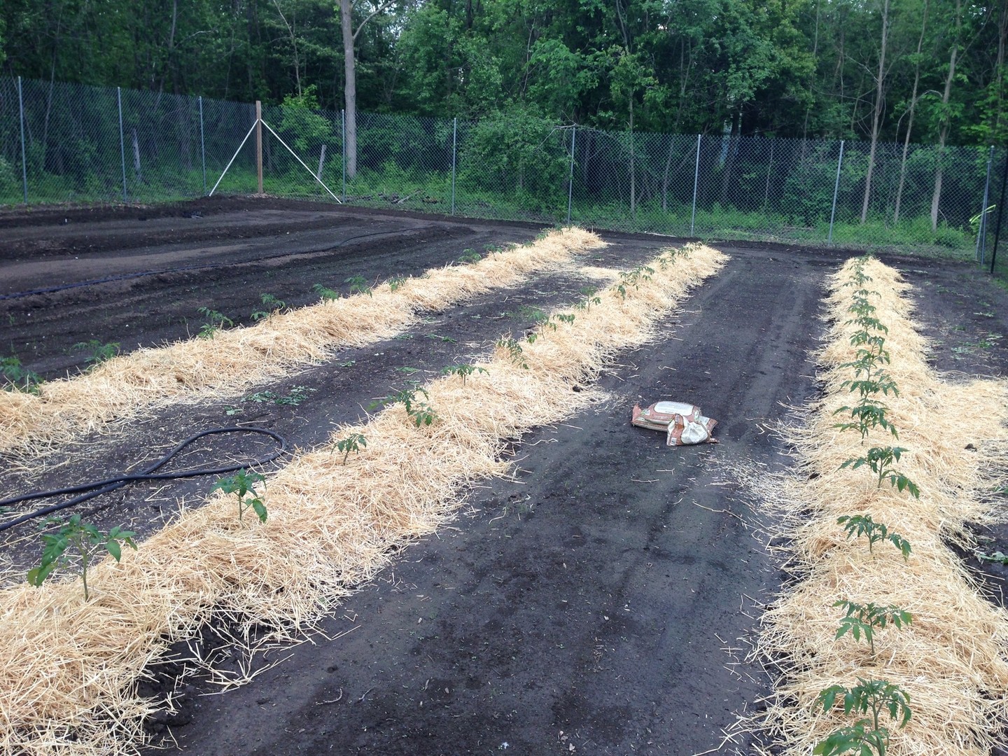 34-w038 Country Club Road St. Charles, IL 60174 - Photo 45 of 47