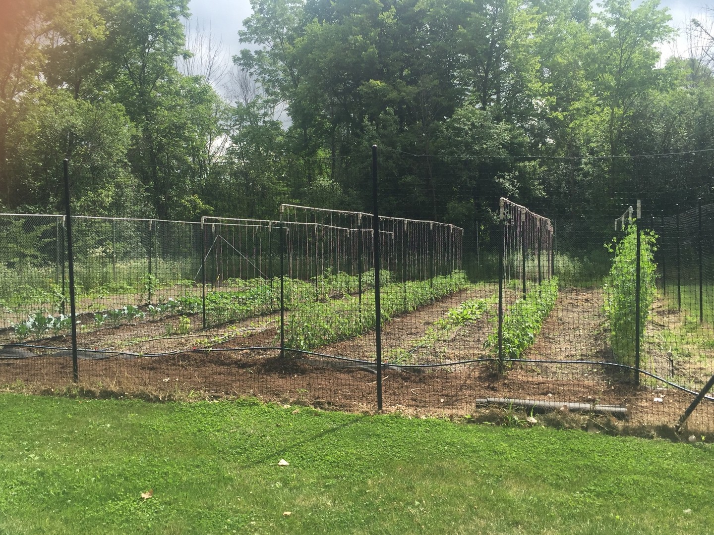 34-w038 Country Club Road St. Charles, IL 60174 - Photo 46 of 47