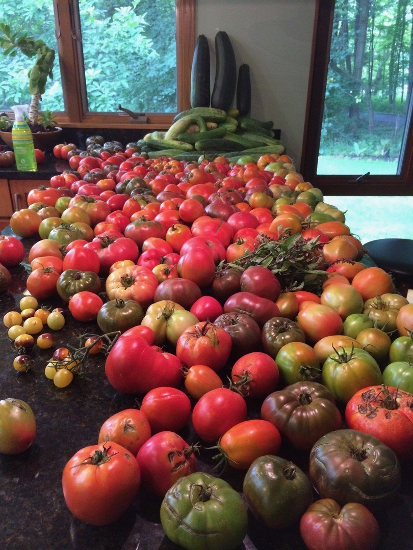 34-w038 Country Club Road St. Charles, IL 60174 - Photo 47 of 47