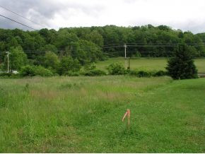 Tbd Gap Creek Road Elizabethton, TN 37643 - Photo 3 of 11 Photo 3