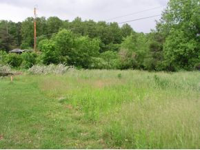 Tbd Gap Creek Road Elizabethton, TN 37643 - Photo 7 of 11 Photo 7