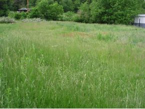 Tbd Gap Creek Road Elizabethton, TN 37643 - Photo 8 of 11 Photo 8